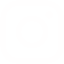 instagram (1).png